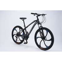 Sepeda Gunung Mtb, Sepeda Gunung Mtb 24/26/29 Inci Antik untuk Dewasa