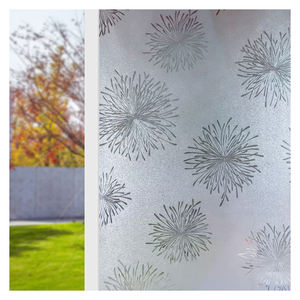 서리로 덥은 정적 집착 창 유리 필름 투명 PVC 현대 장식, 단열 개인 정보 보호 재사용 45CM 60CM - Product Image 5