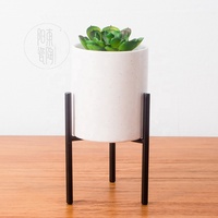 Usine personnalisé rétro en céramique petit cactus pot tapis blanc succulentes support pots de fleurs avec plateau en bambou