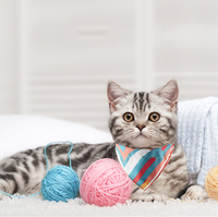 Vente en gros de bandanas, foulards, bavoirs, vêtements, tapis de couchage et accessoires pour chiens et chats, personnalisés avec impression colorée, OEM