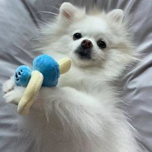 Jouet en peluche interactif en forme de biberon pour bébé et chien, sucette et hochet durables pour chien, vente en gros - Product Image 5
