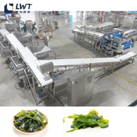 LWT Automatische Fruit- en Groenteverwerkingslijn met Warmtewisselaar en Deegmenger voor Hoog Rendement Zakproductie