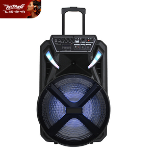 Altavoces Karaoke Bluetooth Feiyang, Cornetas Amplificadas con Bocina de 15 Pulgadas, Trolley Bluetooth Partybox, Subwoofer, Caja de Sonido - Product Image 6