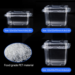 Tùy chỉnh thực hiện có thể tái chế rõ ràng Rau nhựa vỏ sò hộp bao bì Pet salad <span class=keywords><strong>container</strong></span> với nắp nhựa trái cây <span class=keywords><strong>container</strong></span> - Product Image 2