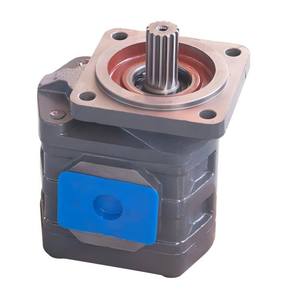 Repuestos para Maquinaria de Construcción 803006649, Bomba de Engranajes Hidráulica JHP2100 para Cargadora de Ruedas - Product Image 5