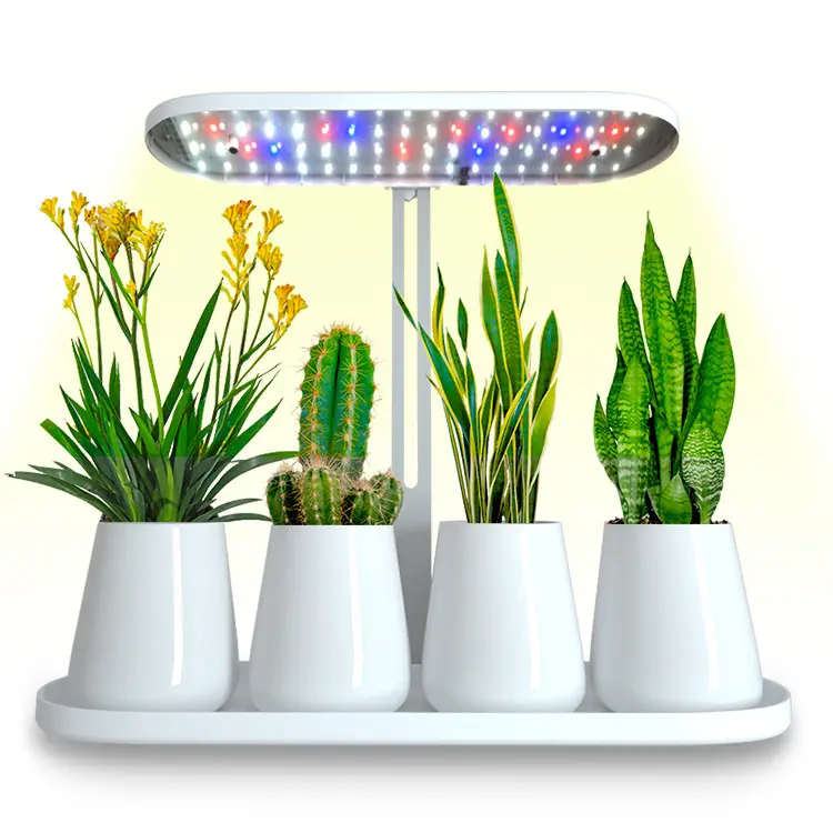 Plant growth fill light plastic succulent flower pot with base tray table lamp creative personality led grow light