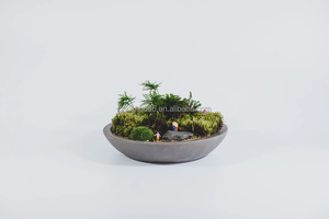 Matériau <span class=keywords><strong>en</strong></span> <span class=keywords><strong>verre</strong></span> et couleur claire plante d'intérieur géométrique <span class=keywords><strong>terrarium</strong></span> <span class=keywords><strong>en</strong></span> <span class=keywords><strong>verre</strong></span> <span class=keywords><strong>bouteille</strong></span> <span class=keywords><strong>en</strong></span> <span class=keywords><strong>verre</strong></span> Biodome Rainforest <span class=keywords><strong>Terrarium</strong></span> - Product Image 6