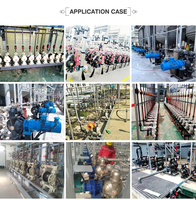 Pompa Air Diafragma Ganda Pneumatik Stainless Steel Seri DBY 2 inci untuk Makanan, Dioperasikan dengan Udara, Langsung dari Pabrik