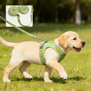 YooGo YG-885 Haustier-Geschirr-Weste - 100% Nylon Cartoon-Spitze & Nieten Blumenmuster 1,5m Nylon-Leine für Hunde & Katzen - Product Image 5