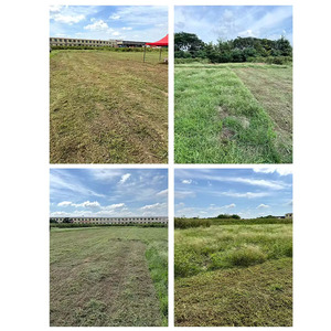 Livraison gratuite, <span class=keywords><strong>tondeuse</strong></span> à gazon robotisée à moteur à essence, largeur de coupe 500 mm, <span class=keywords><strong>tondeuse</strong></span> à gazon à chenilles télécommandée - Product Image 5