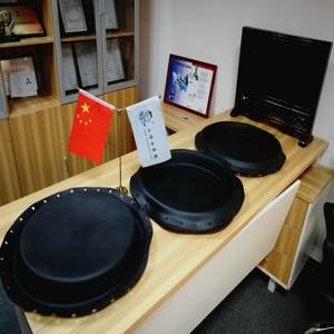 Kit de réparation de diaphragme d'actionneur série Control 667 2E859802202/2N130902202/2R6376X0082 - Product Image 5