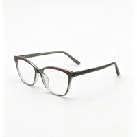 Montures de lunettes à monture complète dégradées, style vintage moderne, lunettes optiques