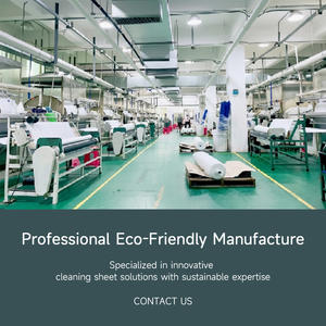 Hojas de Detergente para Ropa para Bolsa de Gimnasio, Limpieza Ecológica para Viajes, Empaque y Logotipo Personalizados - Product Image 2