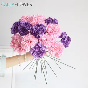 Mother's Day Artificial Flower Simulated Long Stem Carnation Spray