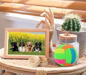 Milieuvriendelijke Eenvoudige Huisdierherdenking Houten Kist Carving Pootafdrukken Voor Kattenhonden Die Dierenhaar Bewaren Voor Wie Ze Kwijt Is - Product Image 3