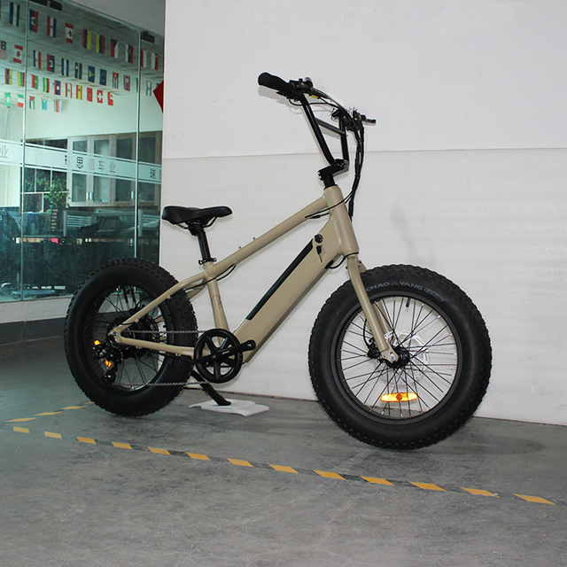 20 Inch Kids EBike 36V 350W Hub Motor 7 Speed Children Small Ebike Lithium Battery Children Electric Bike