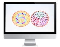Écran LCD de 21.5 pouces tableau d'acuité visuelle tableau de Test de Vision oculaire d'examen