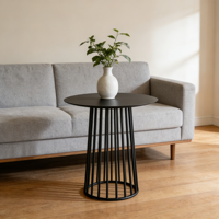 Table basse ronde en métal noir mat avec base en cage, table d'appoint moderne, mini table d'appoint pour salon, chambre, appartement