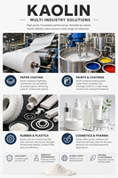 Arcilla de Caolín de Alta Plasticidad para Vajillas, Porcelana Eléctrica, Aislantes, Excelente Formabilidad, Contracción Controlada