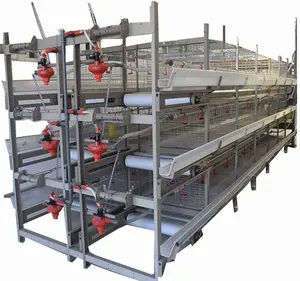 H Type Automatic Egg Poultry Farms Battery Layer Chicken Cages