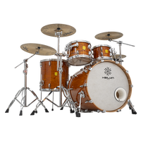Hailun Chinese Ash Burl Drum Sets Instrument de percussion de haute qualité Ventes directes d'usine Usine directe BON MARCHÉ