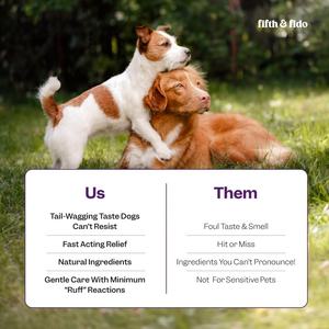 Gotas de hierbas para la <span class=keywords><strong>tos</strong></span> de la perrera para perros <span class=keywords><strong>y</strong></span> gatos-Alivio de la <span class=keywords><strong>tos</strong></span>-Chupete para la garganta-<span class=keywords><strong>Tos</strong></span> seca <span class=keywords><strong>y</strong></span> húmeda para mascotas - Product Image 3