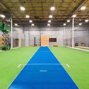 緑、青、ベージュ色のクリケット草、クリケット芝、屋内または屋外のクリケット表面