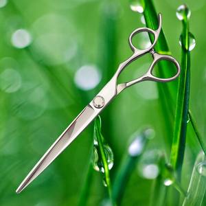 Tijeras Profesionales para Cabello de 7 Pulgadas, Acero Inoxidable 440C, para Diestros, Uso en Salón de Belleza, Tipo de Cuchilla Estándar - Product Image 1