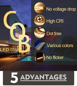 24V 320LEDs/m Indoor LED Lighting Flexible Strip 8mm COB LED <b>Light</b> Strip <b>for</b> <b>Room</b> Decoration IP20 Rated LED Atmosphere <b>Light</b> - Product Image 5