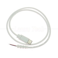 Câble de charge USB Type C mâle-femelle personnalisable avec extrémité à fils nus en cuivre pur et dispositif anti-tension pour carte mère