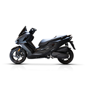 ÉCRAN SPORT fumé foncé-longueur 42 x hauteur 40 x épaisseur 0.3 cm - Product Image 2