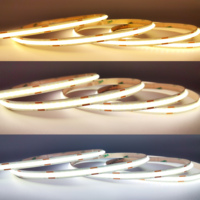 Bande LED COB flexible en silicone à double température de couleur, largeur 8 mm, télécommande, IP20, Ra90, design populaire