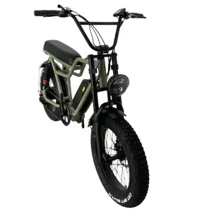 Sepeda Listrik Off-Road 48V 500W Kuat 20 Inci, Sepeda Listrik Papan Seluncur Salju 4.0 Lemak