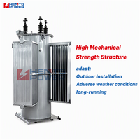 Régulateur de tension automatique 60 Hz 7,62 KV 250 KVA de type A avec plage de ±10 % et 32 prises de dérivation
