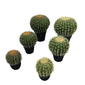 Boule ornementale artificielle de cactus, boule d'or, ornement d'intérieur mexicain de 25-45cm, 10 pièces