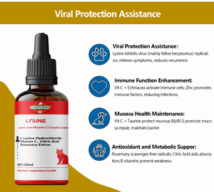 Formule Avancée <span class=keywords><strong>Lysine</strong></span> Vitamine C Gouttes Liquides pour Chats Soutien Immunitaire Défense Contre les Virus Félin Sûr pour la Digestion Sensible Toutes Races - Product Image 5
