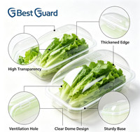 Mejor Protector: Envase Blister de PET Reciclable de 1mm Personalizado para Propagación de Plántulas, Tipo Concha para Iniciadores de Plantas de Hierbas