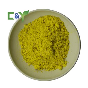 ISO pabrik pengiriman cepat baikal kualitas ekstrak baicalensis 85% baicalin baikal ekstrak akar bubuk baicalin