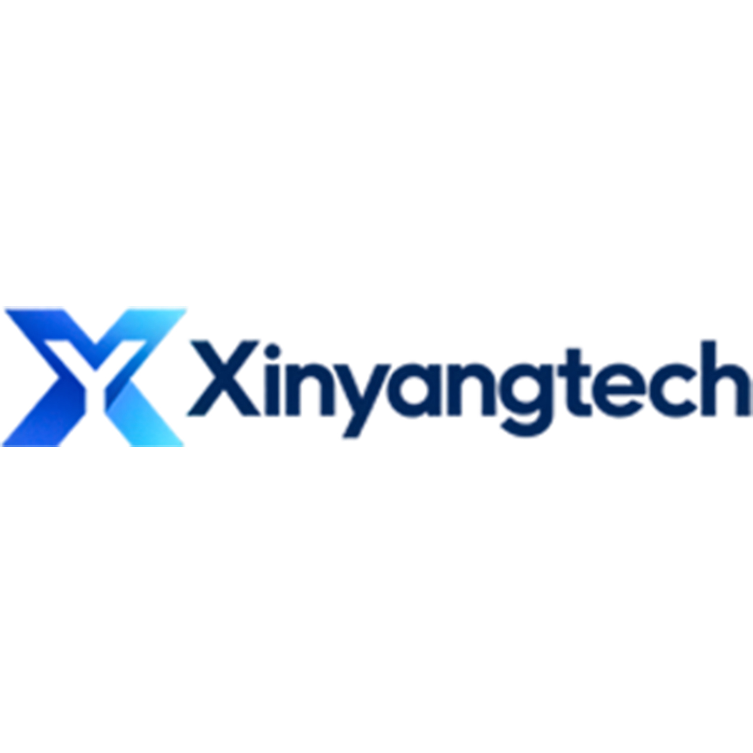 Hangzhou Xinyang Technology Co., Ltd. logo