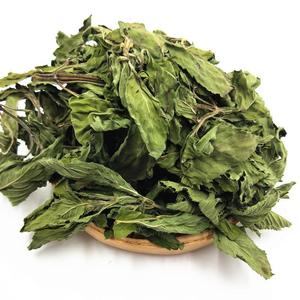 Té de Hierbas Chinas 100% Natural al por Mayor, Hojas de Menta Frescas y Sueltas, Hojas de Menta de Alta Calidad, Té de Menta - Product Image 3