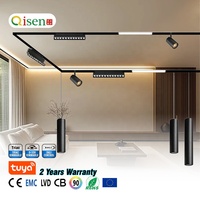 Spot LED magnétique commercial 20 mm en aluminium 3 CCT 48 V IP20 pour rail de plafond, système de rail magnétique moderne pour hôtel, éclairage intérieur