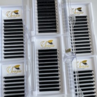 0.03 0.05 0.07MM Premium Faux Cils Extensions Chat Poupée Yeux Fibre Soie Russe Volume Cils C D CC DD Curl