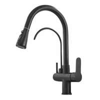 Robinet d'évier de cuisine avec pulvérisateur à tirette 2 poignées 3 en 1 filtre à eau purificateur robinet de cuisine