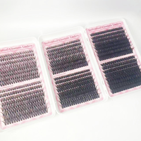 En gros, Clusters de cils individuels pré-coupés faits main DIY effet éventail, 9-16mm, Marque privée, Kit en livre avec pointes LASHES