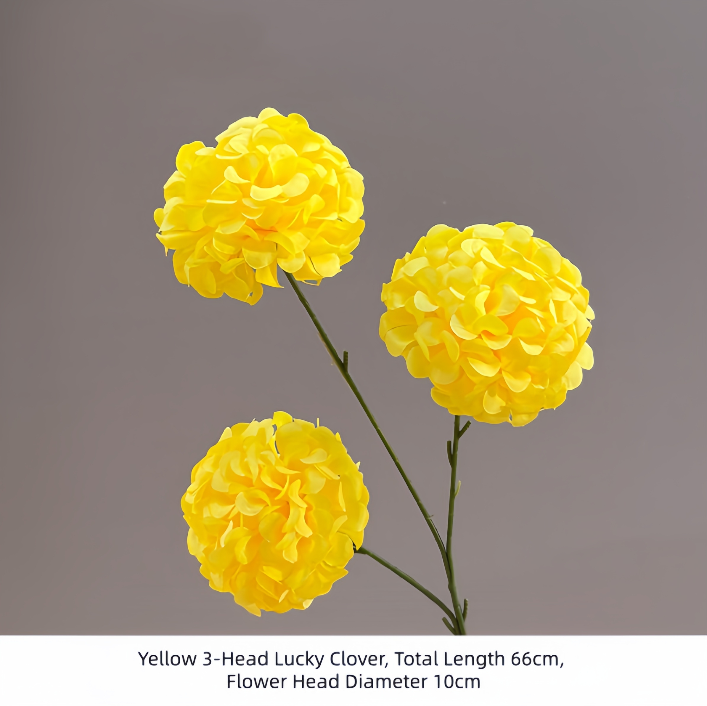 Yellow 3-Head Lucky Clover