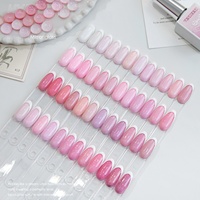 Kit de vernis à ongles en gel UV DIY de créateur français OEM, 48 couleurs, blanchissant doux, pailleté, rose prune, couleur unie, pour salon de photothérapie