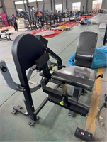 Machine d'extension des jambes assis à charge de plaques SK Commercial Gym Fitness Equipment pour l'entraînement de la force des jambes