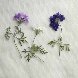 Sud-américain Fausse <span class=keywords><strong>Verveine</strong></span> Petite <span class=keywords><strong>Verveine</strong></span> Avec Branche Fleurs Pressées Résine Oeuvre Cadre DIY Artisanat Bougie Epoxy - Product Image 4
