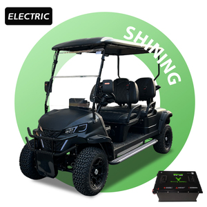 Shining Brand Elektrischer Golfwagen 4-Sitzer Batteriebetrieben 48V 5KW AC-Motor 60km/h Max. Geschwindigkeit 50km Reichweite - Product Image 1
