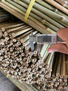 Varillas de Bambú Natural Tonkin de Diámetro Pequeño para Soporte de Plantas, Estacas para Viveros y Jardines, Venta al por Mayor Directa de Fábrica en Vietnam - Product Image 5